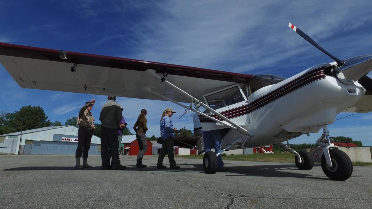 Lighthawk: Destination Conservation