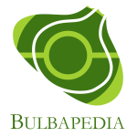 Bulbapedia