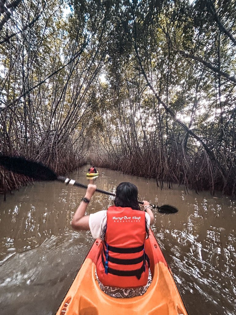 Kayaking in Paravoor Mangroove Forest, One of the things to do in Varkala