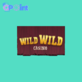 Wild Wild Casino