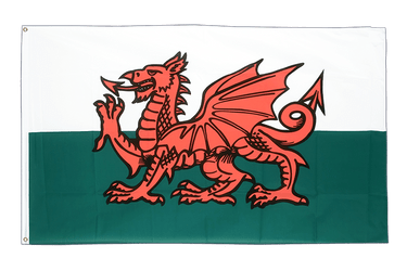 Wales Flagge 150 x 250 cm