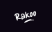 Rakoo 1 