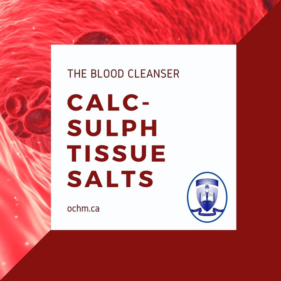 Calc-sulph Tissue Salts is considered “the Blood Cleanser”