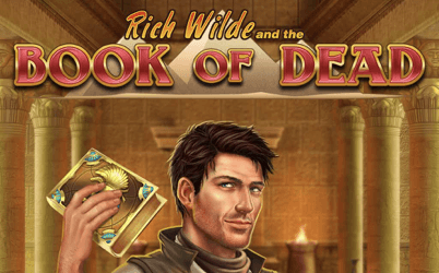 Book of Dead slot