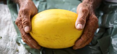 Hands showing fruit, Brazil. Photo: Tatiana Cardeal/Oxfam