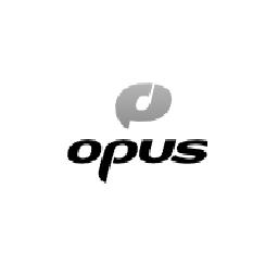 47 - opus interactive audio codec