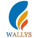 Wallystech