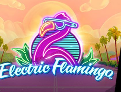 Electric Flamingo Thumbnail 1 
