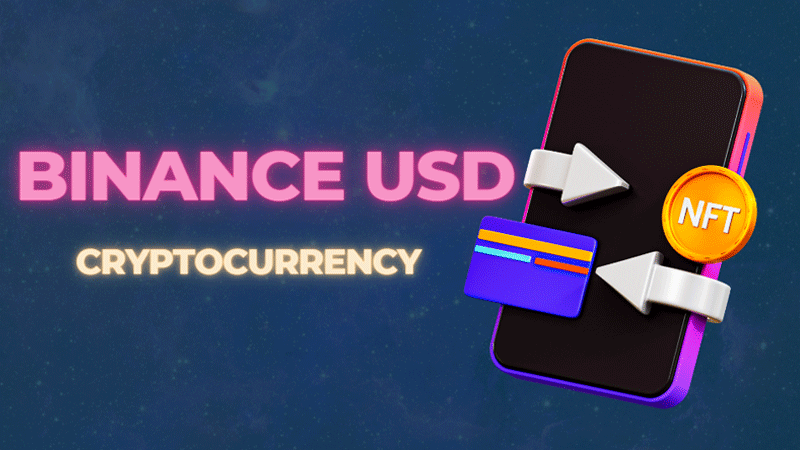 Binance USD Casino 