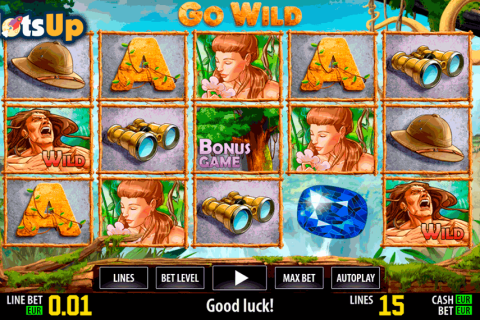 Go Wild Hd World Match Casino Slots 