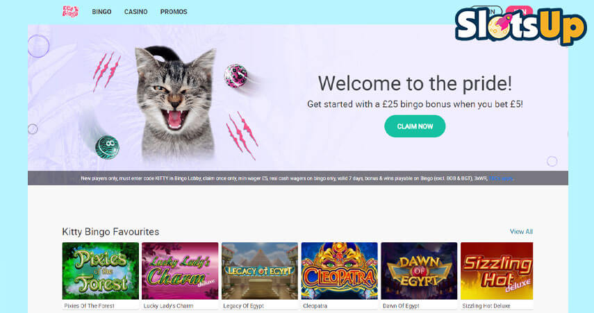 Kitty Bingo Casino Interface