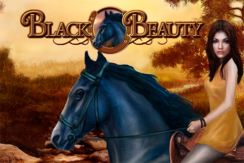 Black Beauty Bally Wulff 
