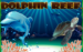 Dolphin Reef Nextgen Gaming 