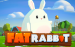 Fat Rabbit Push Gaming 