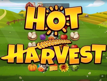 Hot Harvest Octoplay 