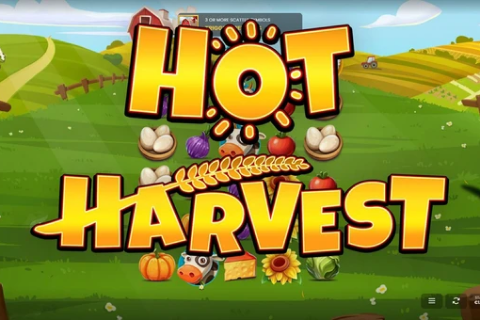 Hot Harvest Octoplay 