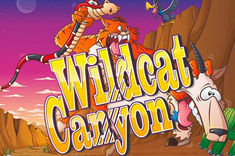 Wild Cat Canyon Nextgen Gaming 