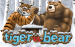 Tiger Vs Bear Genesis 