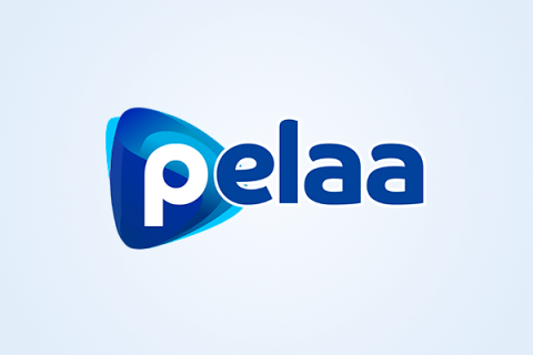 Pelaa Casino 