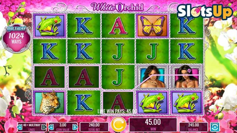 White Orchid Slot Online