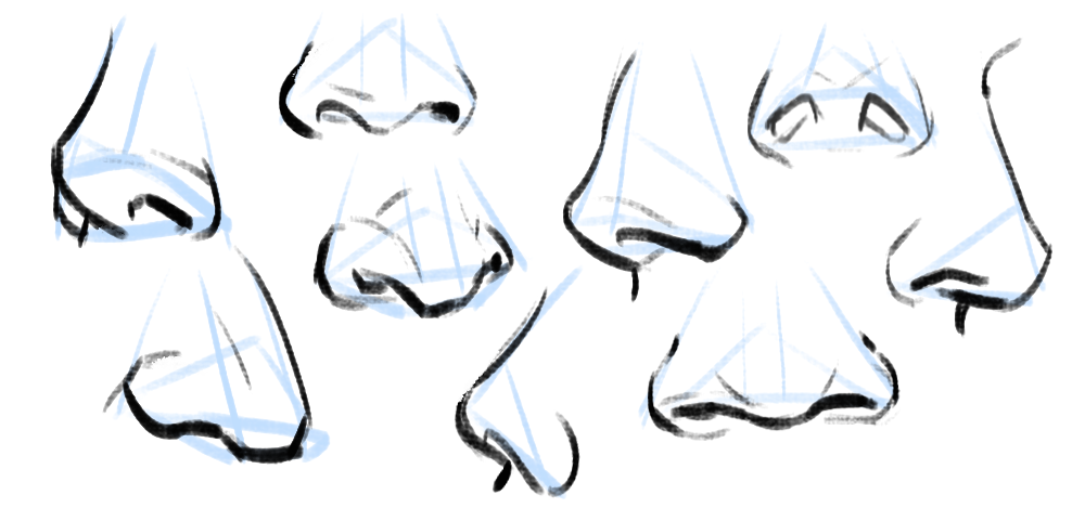 How To Draw A Nose From 5 Different Angles Improve Dr - vrogue.co