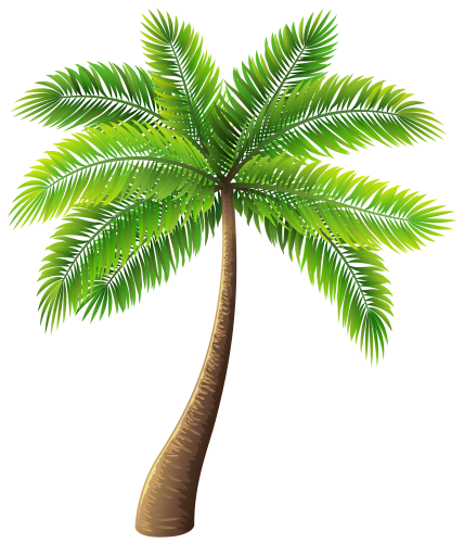 Palm Tree PNG Clip Art - High-quality PNG Clipart Image in cattegory Trees PNG / Clipart from ClipartPNG.com