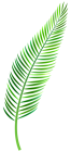 Palm Leaf PNG Clip Art - High-quality PNG Clipart Image from ClipartPNG.com