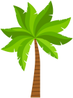 Palm PNG ClipArt - High-quality PNG Clipart Image from ClipartPNG.com