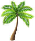 Palm Tree PNG Clip Art - High-quality PNG Clipart Image from ClipartPNG.com