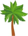 Palm Tree PNG Clip Art Image - High-quality PNG Clipart Image from ClipartPNG.com