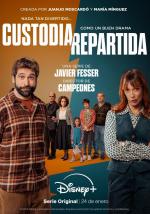 Custodia repartida (TV Series)