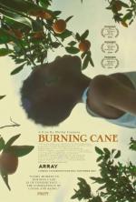 Burning Cane 