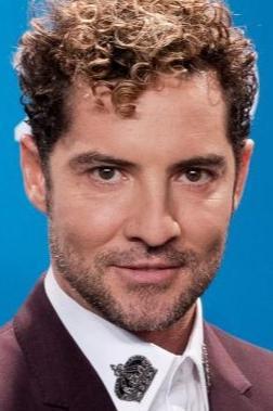 David Bisbal