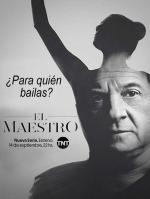 El maestro (Miniserie de TV)