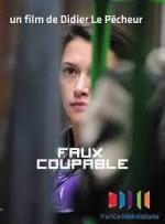 Falso culpable (TV)