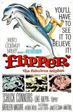 Flipper 