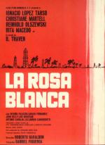 La rosa blanca 