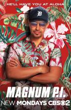 Magnum P.I. (Serie de TV)