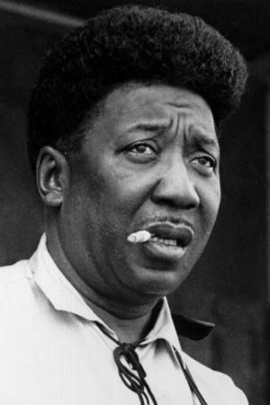 Muddy Waters