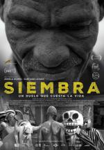 Siembra 