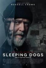 Sleeping Dogs 