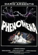 Phenomena 