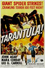 Tarántula 