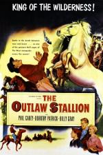 The Outlaw Stallion 