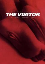 The Visitor 