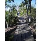 Marrero: Jean Lafitte State Park in Marrero, Louisiana ( Boardwalk )