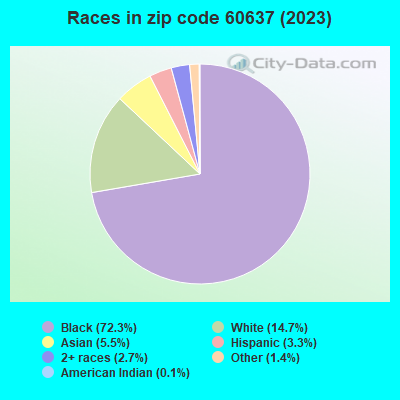 Races in zip code 60637 (2022)