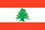 Ibugesic in Lebanon