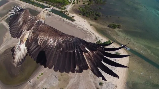 First prize. Taken over Bali Barat National Park, Denpasar, Bali. Made with a GoPro Hero 2 camera. (Photo by Capungaero)