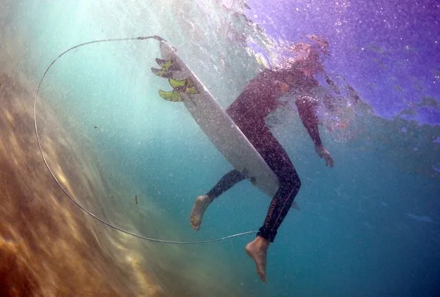 Surfer Arlen Macpherson sits on his board, which has an electronic shark repellent device installed, at Sydney's Bondi Beach in Australia, August 18, 2015. A spate of shark attacks in Australia has left some of world's top surfing beaches deserted and many people having second thoughts about taking a swim as the summer approaches. Macpherson paid A$390 for a device embedded in his surf board to repel sharks by emitting an electronic force field that overpowers its sensing organs. (Photo by David Gray/Reuters)